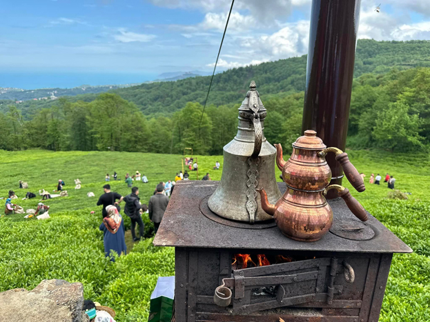 Eynesil 4. Amber Çay Hasat Şenliği