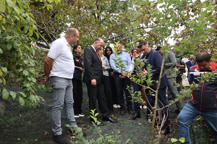 Modern Yarıcılık Modeli Giresun’da Hayata Geçti
