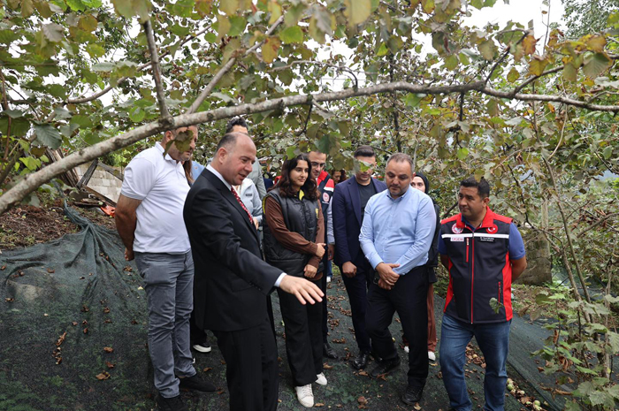 Modern Yarıcılık Modeli Giresun’da Hayata Geçti