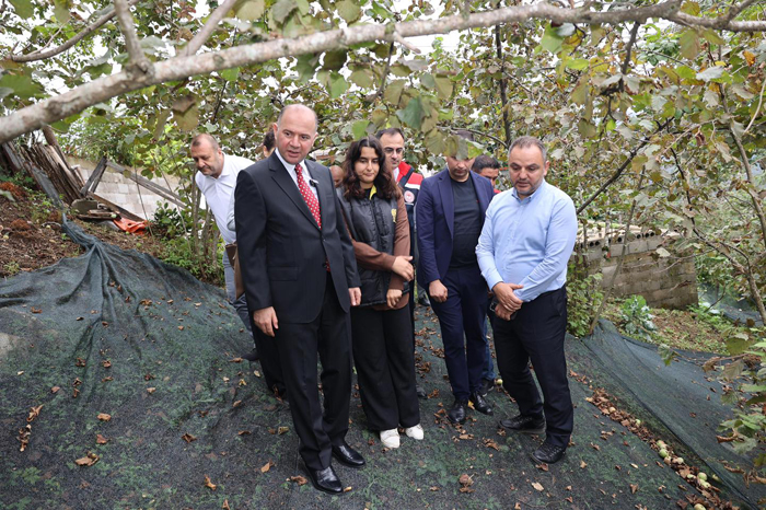 Modern Yarıcılık Modeli Giresun’da Hayata Geçti