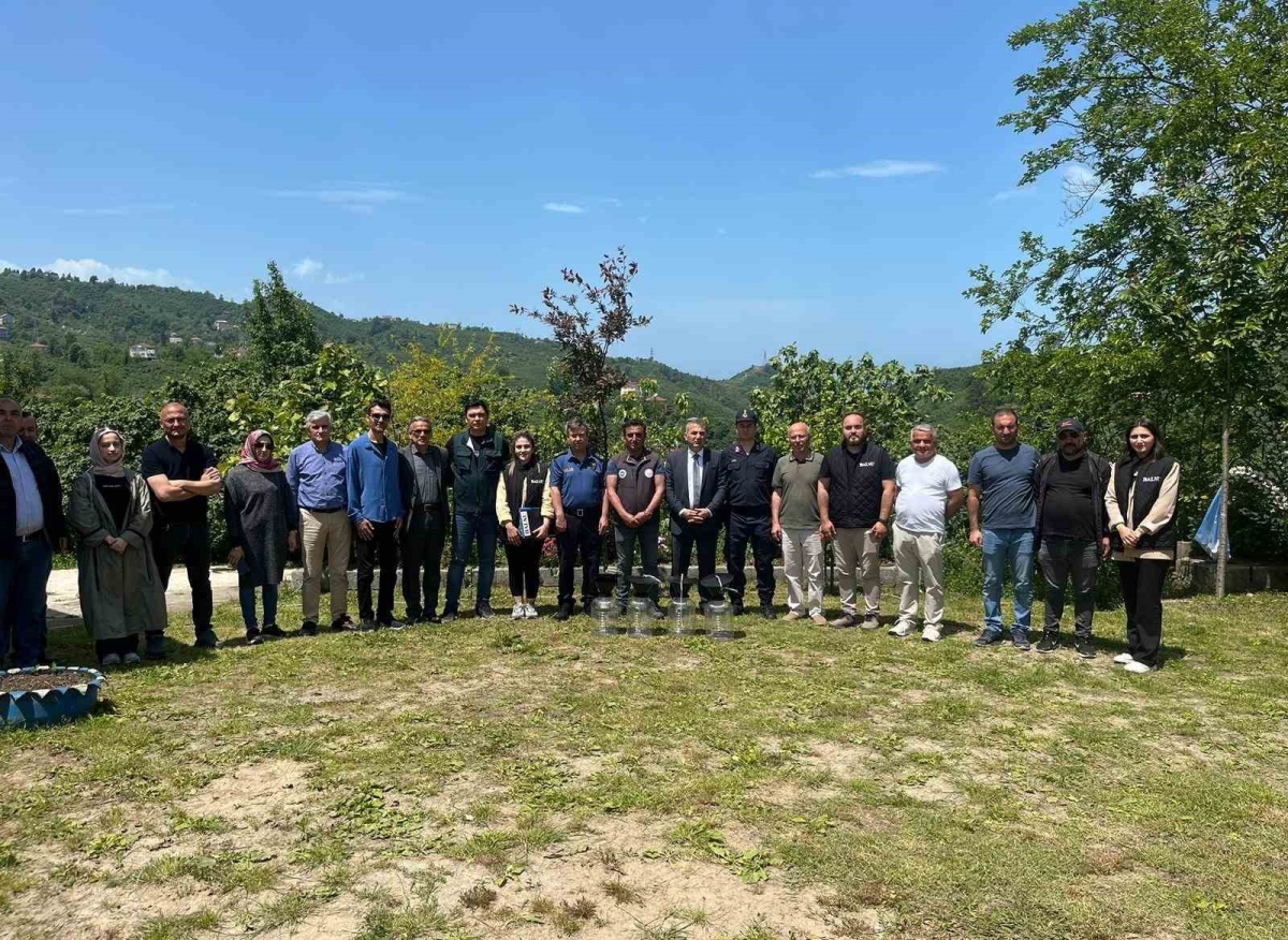 Kahverengi Kokarcaya tuzak projesi uygulamaya geçti
