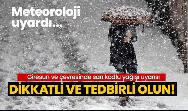 Giresun ve çevresinde sarı kodlu kar yağışı uyarısı: Dikkatli ve tedbirli olun!
