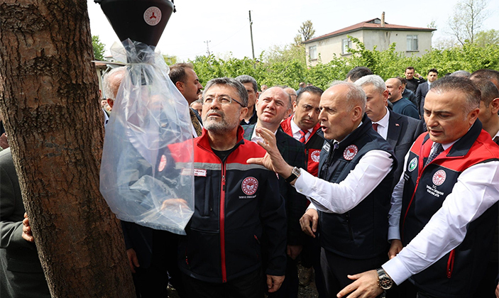 Bakan Yumaklı’dan Giresun’da Zirai Don ve Kahverengi Kokarca ile Mücadeleye Yakından Takip