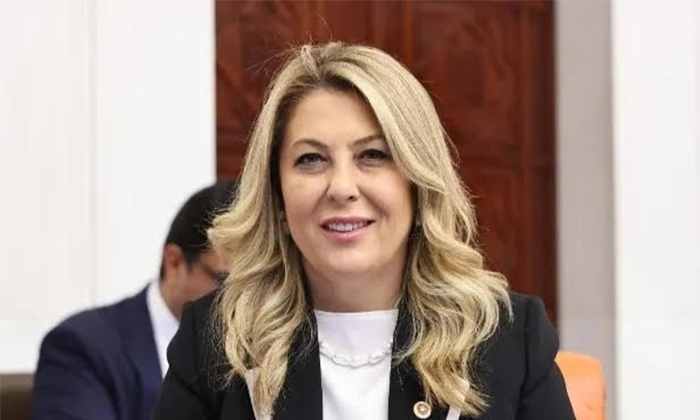 Giresun Milletvekili Elvan Işık Gezmiş: 