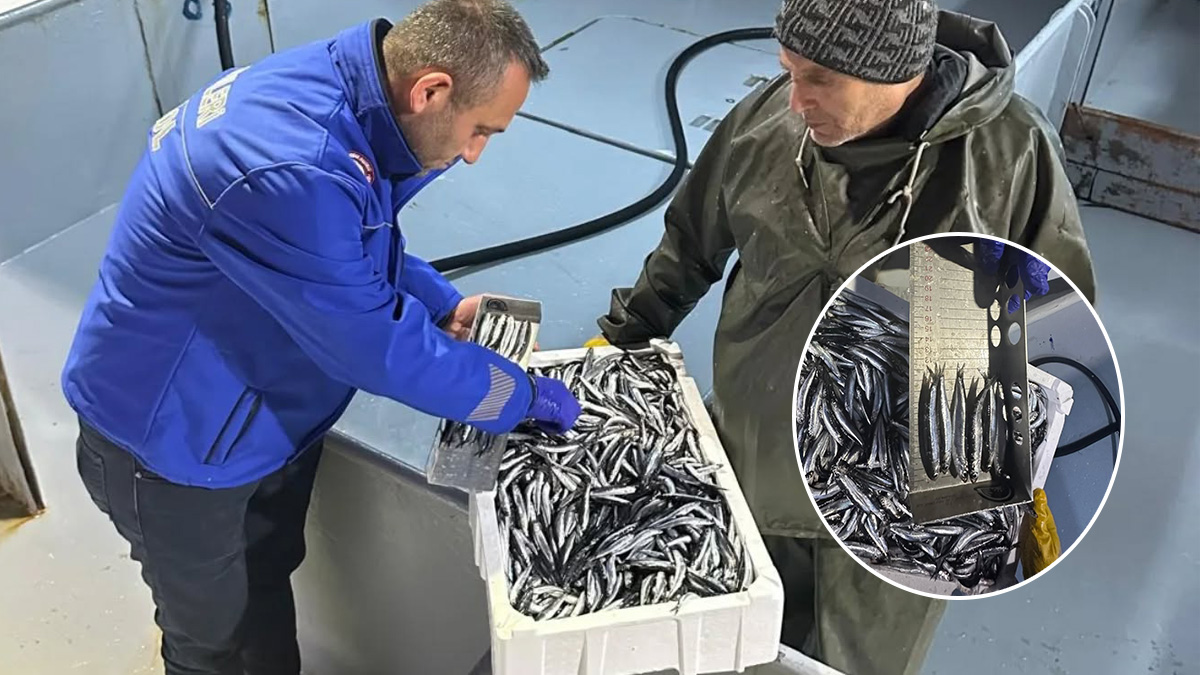 Giresun’da hamsi avına sıkı kota denetimi: Sürdürülebilir balıkçılık için ekipler sahada