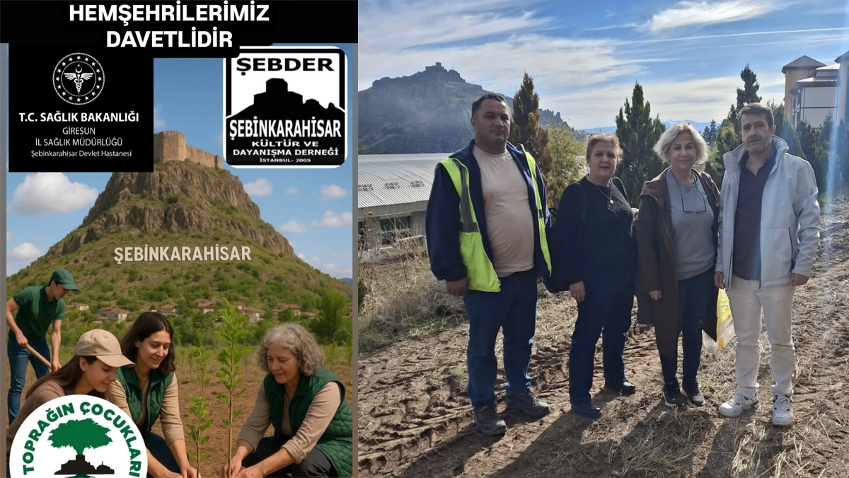 Şebinkarahisar’da ‘Ata Tohumu Şebin Cevizi Dikimi’ için hazırlıklar tamamlandı: 9 Kasım’da büyük buluşma