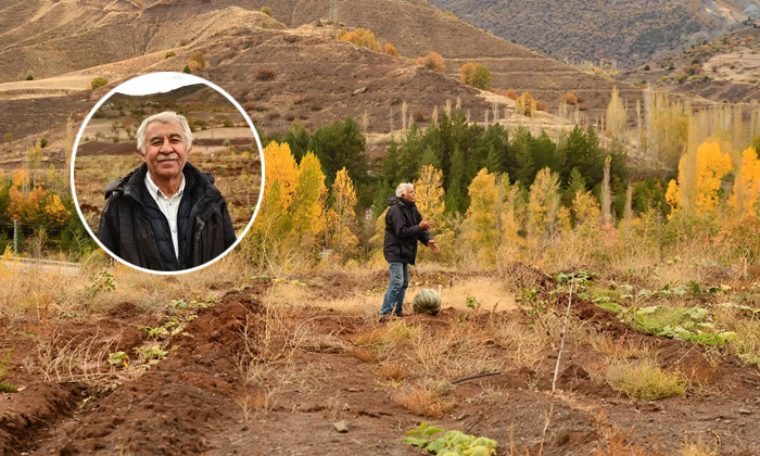 Giresun Şebinkarahisar’da bir ilk: Emekli banka müdürü 16 dönüm araziye Antep Fıstığı bahçesi kurdu