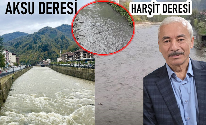 Harşit Vadisi'nde zehir alarmı! Gazeteci Nuri Yılmaz'dan şok iddia