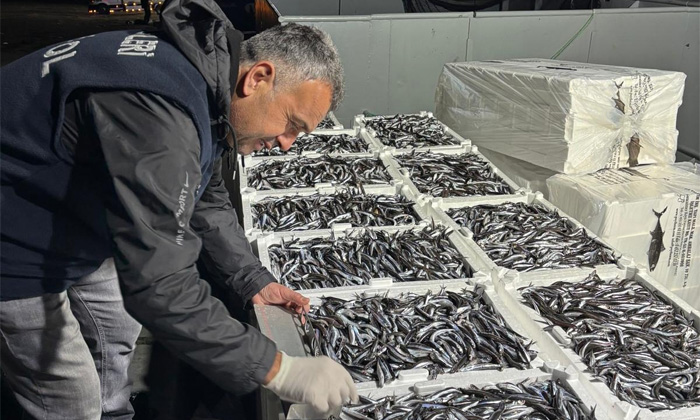 Tirebolu’da hamsi avı sıkı takipte: Gırgır teknelerinde kota denetimi devam ediyor