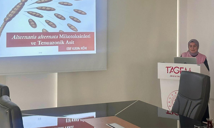 Fındık üreticisini ilgilendiriyor: Kahverengi Kokarca zararlısına karşı biyolojik mücadele yöntemleri gündemde