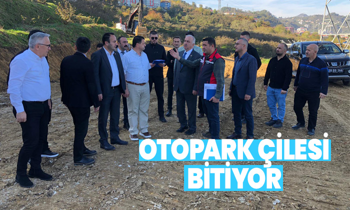Giresun Hastaneler Bölgesi'nin çilesi bitiyor: Milletvekili Ali Temür'den 70-80 araçlık yeni otopark projesi müjdesi!