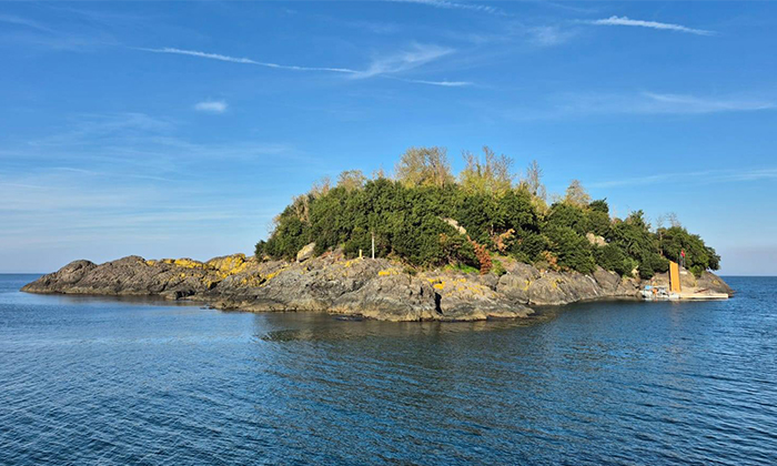Giresun Adası Turizme Açılıyor: Tarihi Dokusuna Dokunulmadan Yenilendi!