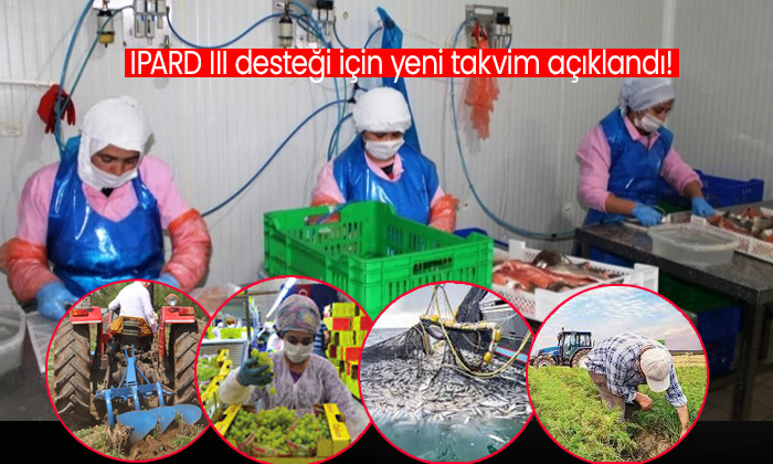 IPARD III desteği için yeni takvim açıklandı! TKDK Giresun'dan ‘Tarım ve Balıkçılık Ürünleri’nin işlenmesi yatırımcılarına duyuru