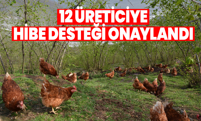 'Fındık bahçelerinde Yarka Projesi'nde 2. çağrı sonuçları açıklandı! 12 üreticiye hibe desteği onaylandı