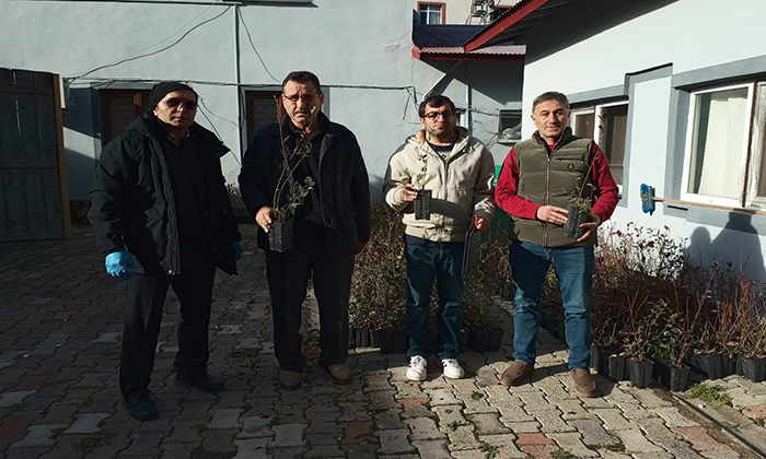 Maviyemiş Üretimine Destek: Espiye’de Fidan ve Sulama Seti Dağıtıldı