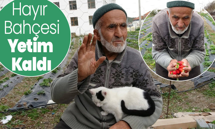 Gönüllerin İbrahim Amcası veda etti: 30 yıllık 'Hayır Bahçesi' yetim kaldı!