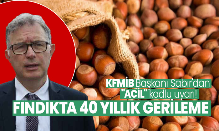 Fındık ihracatında alarm veren tablo: KFMİB Başkanı Sabır’dan 2026 için ‘Acil Politika’ çağrısı!