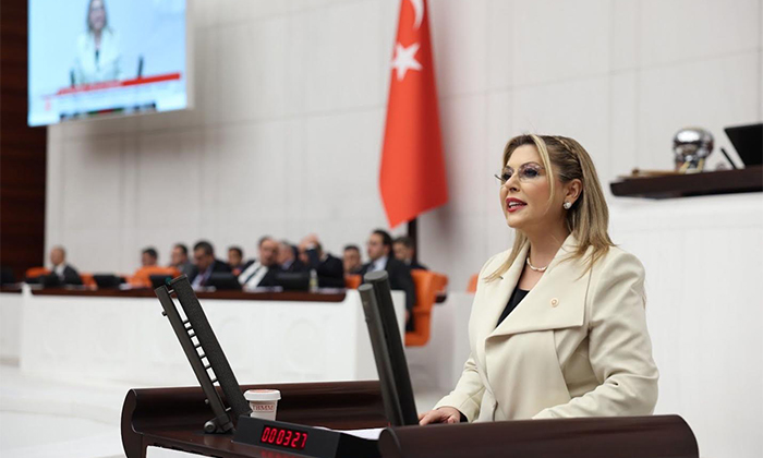 Milletvekili Elvan Işık Gezmiş’ten Meclis'e Samsun-Sarp Demir Yolu Önergesi