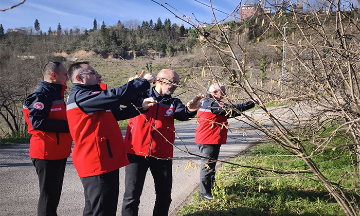 Giresun’da Fındık Bahçelerinde Kritik Kontrol: Karanfiller Göründü, Ekipler Sahada
