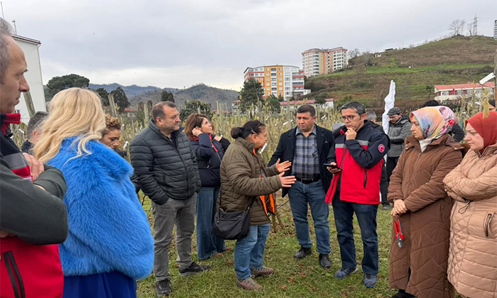 Fındıkta Verimi Artıracak Yeni Yöntem: Giresun’da 