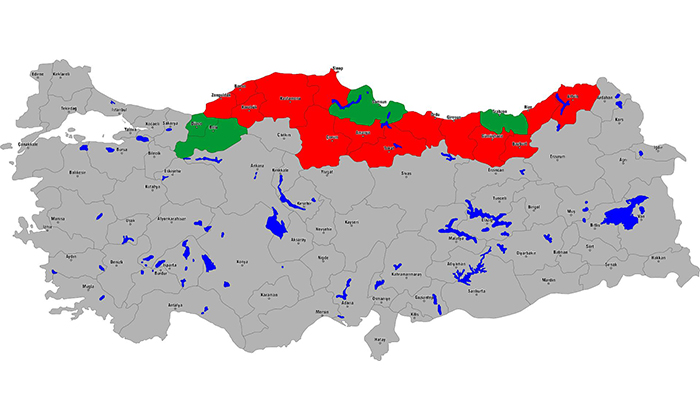 Giresun Kan Kaybediyor: Nüfus Azaldı, Göç Durdurulamıyor