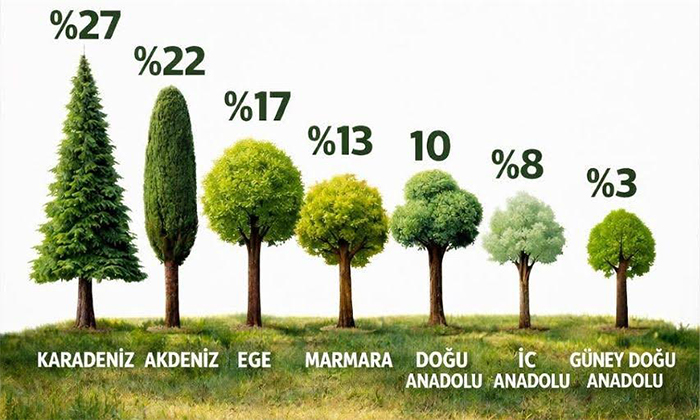 Türkiye’nin Yeşil Karnesi Açıklandı: Zirvede Karadeniz, En Altta Güneydoğu Var!