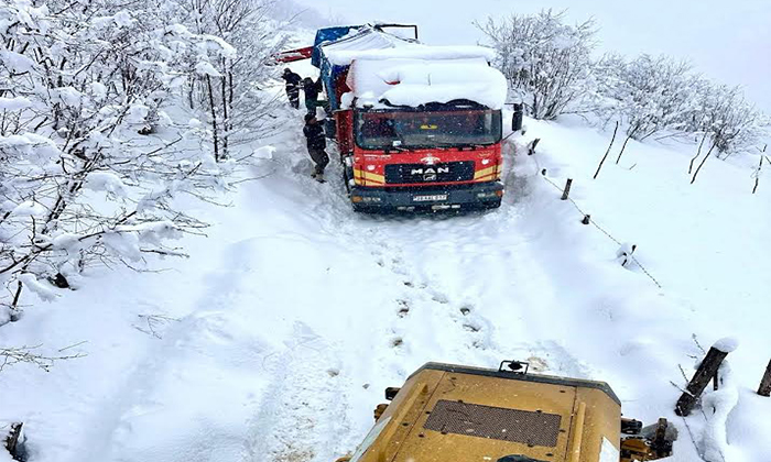 Mahsur Kalan Canlı Hayvan Yüklü Araç İçin Ekipler Seferber Oldu