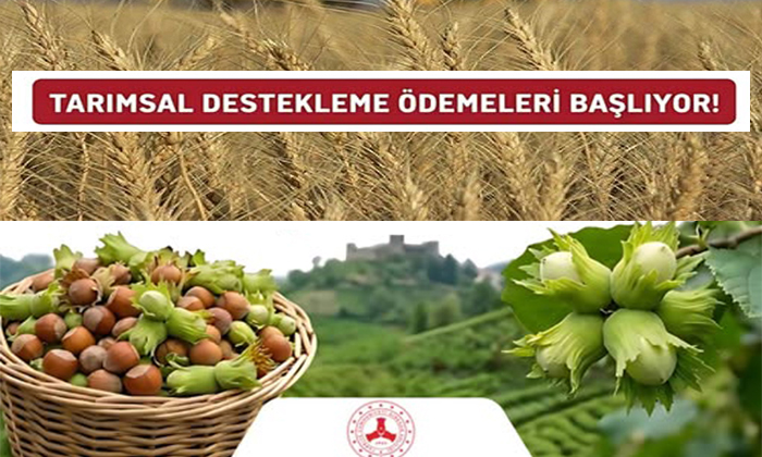 Giresunlu Çiftçilere 371 Milyon TL Can Suyu! Tarımsal Destek Ödemeleri Başlıyor