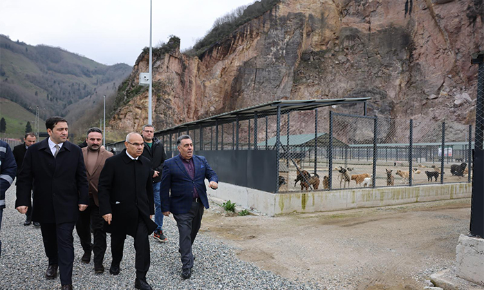 Giresun Sokak Hayvanları Bakımevine Vali Mustafa Koç’tan İnceleme