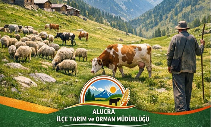 Alucra'da Yaylaya Çıkış İzin Belgesi Dönemi Başladı