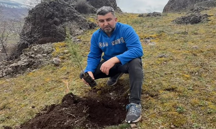 Şebinkarahisar Çiftlik Mahallesi'nde Yeşil Seferberlik: Muhtar Tergek Fidan Dikimine Devam Ediyor