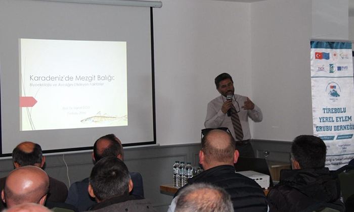Tirebolu’da Mezgit Balığı İçin Kritik Uyarı: Deniz Kirliliği Tehdit Saçıyor