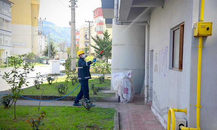 Kokarca Alarmı: Belediye Ekipleri Sahaya İndi, İlaçlama Çalışmaları Başladı