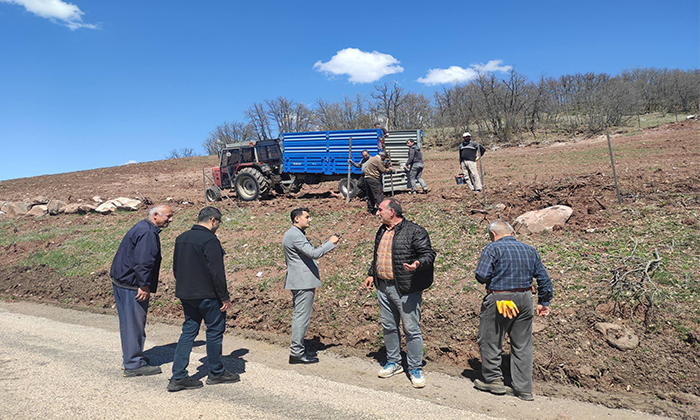 Şebinkarahisar Karadut Üretim Üssü Oluyor: Kaymakam Ardıç Projeyi İnceledi