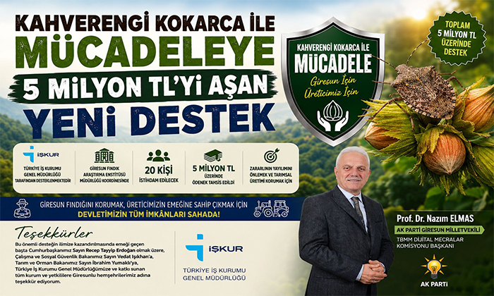 Giresun'da Kahverengi Kokarca Mücadelesine 5 Milyon TL'lik Destek