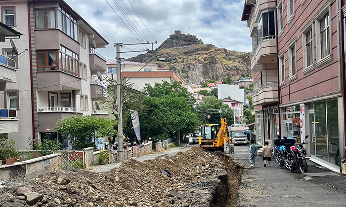 Şebinkarahisar Doğalgaz Çalışmalarında Son Durum