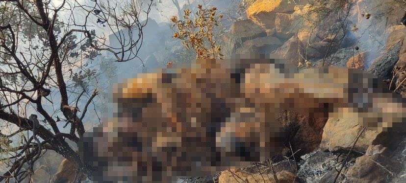 Yanan alandaki söndürme çalışmalarında ceset bulundu
