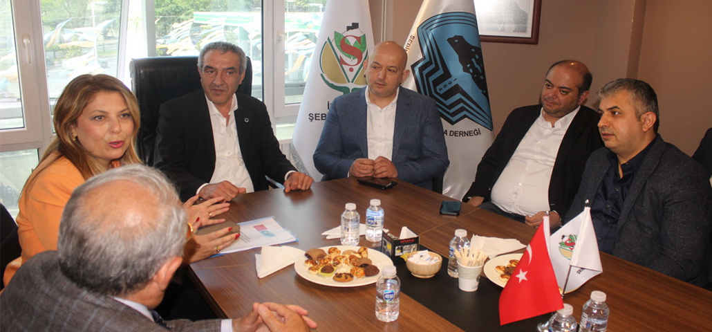 CHP’li Gezmiş İstanbul’da Şebinkarahisar STK’larıyla buluştu