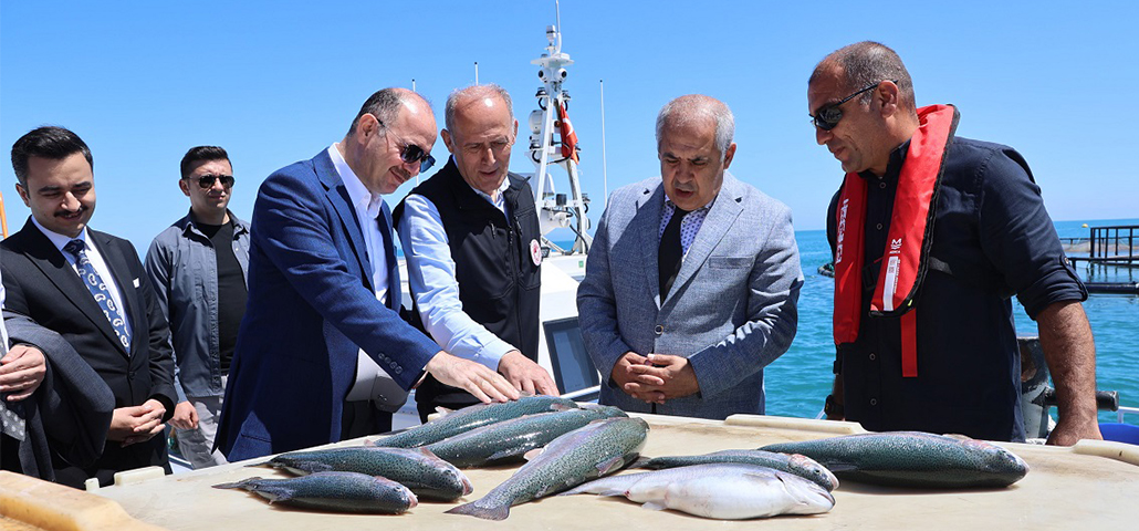Keşap’tan Rusya ve Japonya’ya Türk Somonu İhracatı 